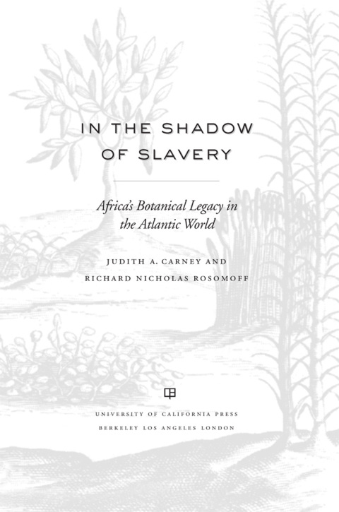 Cover image for book In the Shadow of Slavery