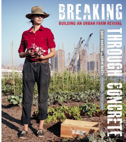Cover image for book Breaking Through Concrete