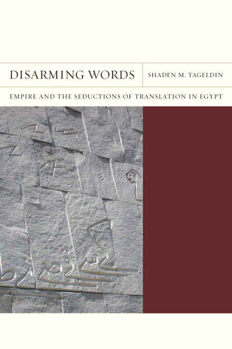 Cover image for book Disarming Words