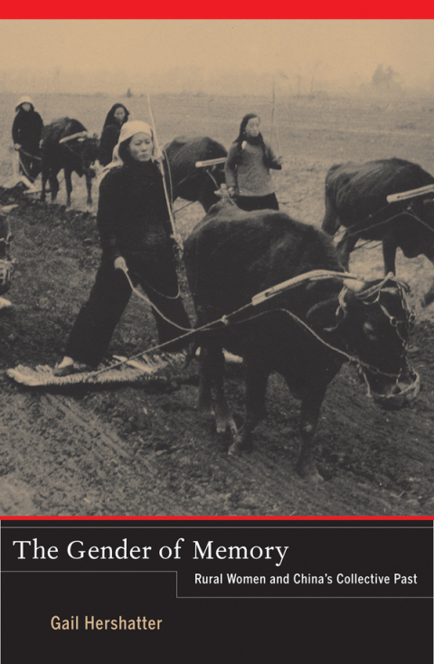 Cover image for book The Gender of Memory