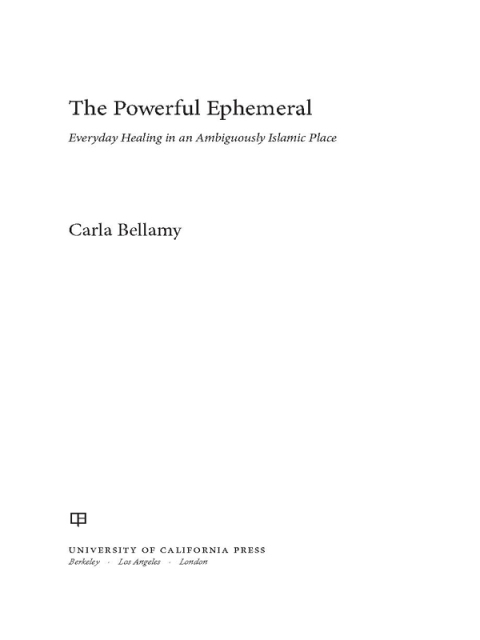 Cover image for book The Powerful Ephemeral