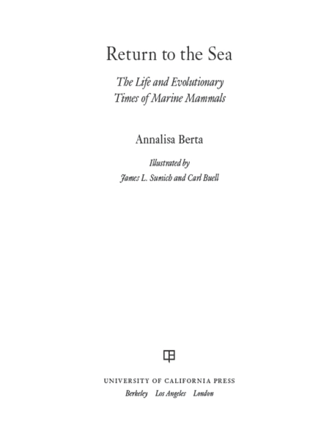 Cover image for book Return to the Sea