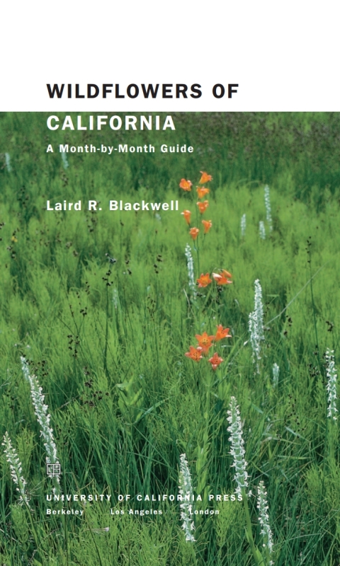 Cover image for book Wildflowers of California