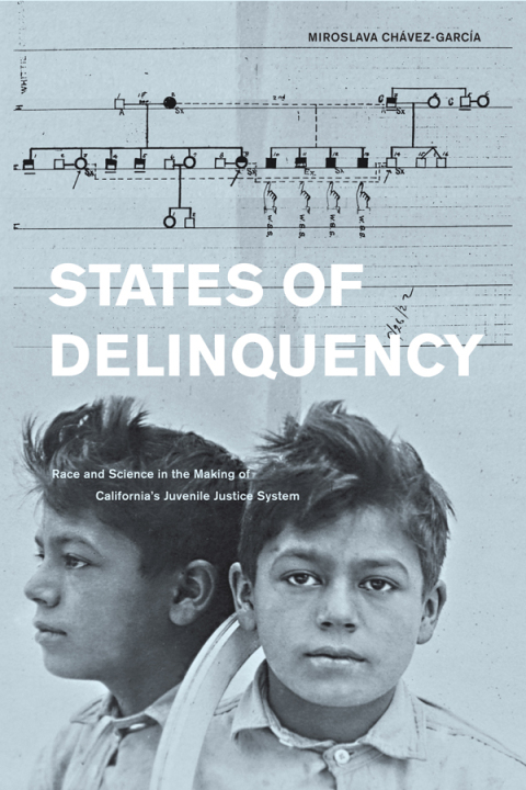 Cover image for book States of Delinquency