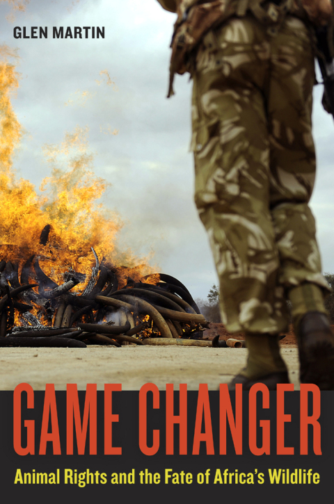 Cover image for book Game Changer