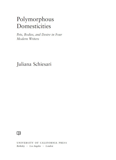 Cover image for book Polymorphous Domesticities