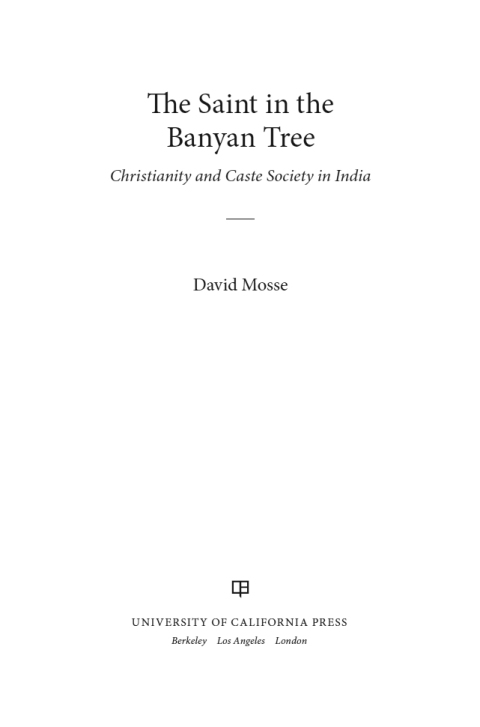 Cover image for book The Saint in the Banyan Tree