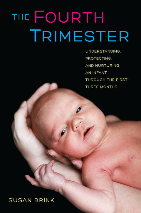 Cover image for book The Fourth Trimester