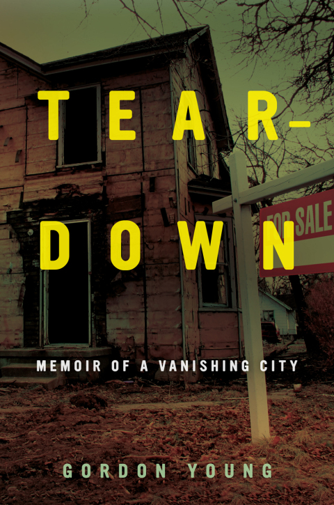 Cover image for book Teardown