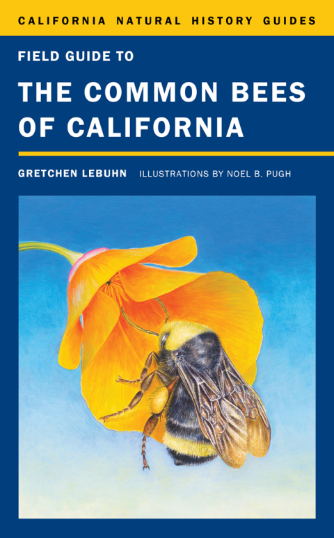 Cover image for book Field Guide to the Common Bees of California