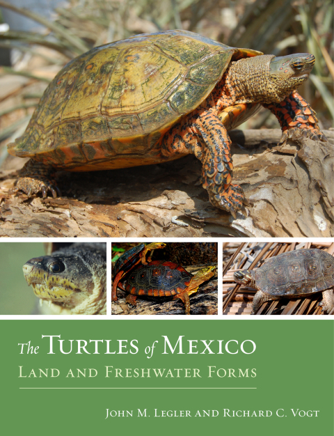 Cover image for book The Turtles of Mexico