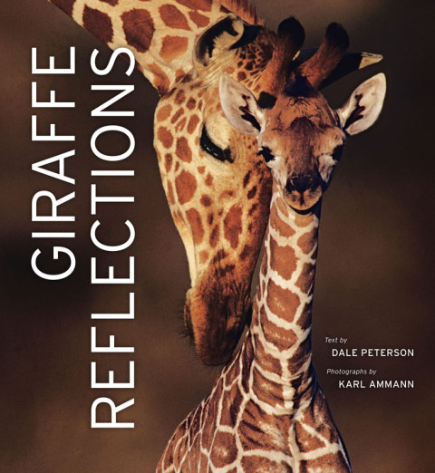 Cover image for book Giraffe Reflections