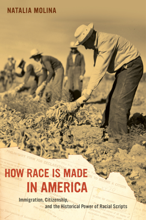 Cover image for book How Race Is Made in America