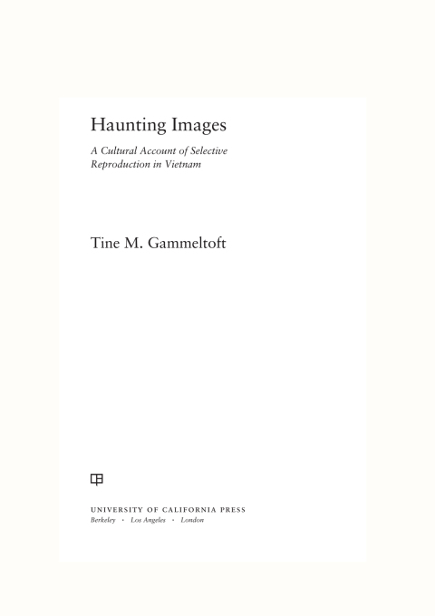 Cover image for book Haunting Images