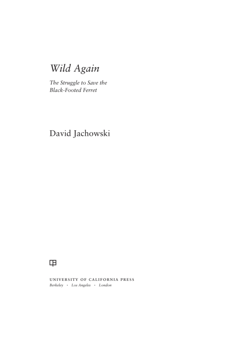 Cover image for book Wild Again
