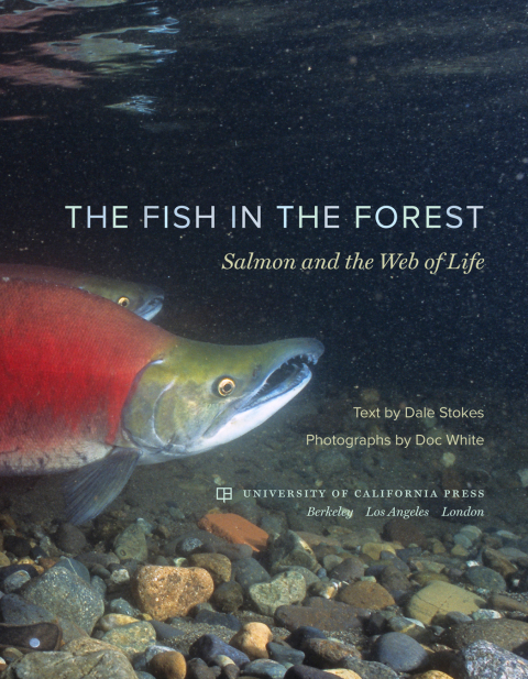 Cover image for book The Fish in the Forest