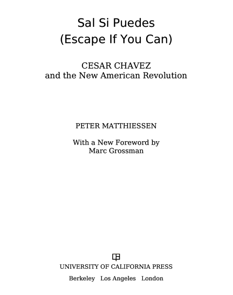 Cover image for book Sal Si Puedes (Escape If You Can)
