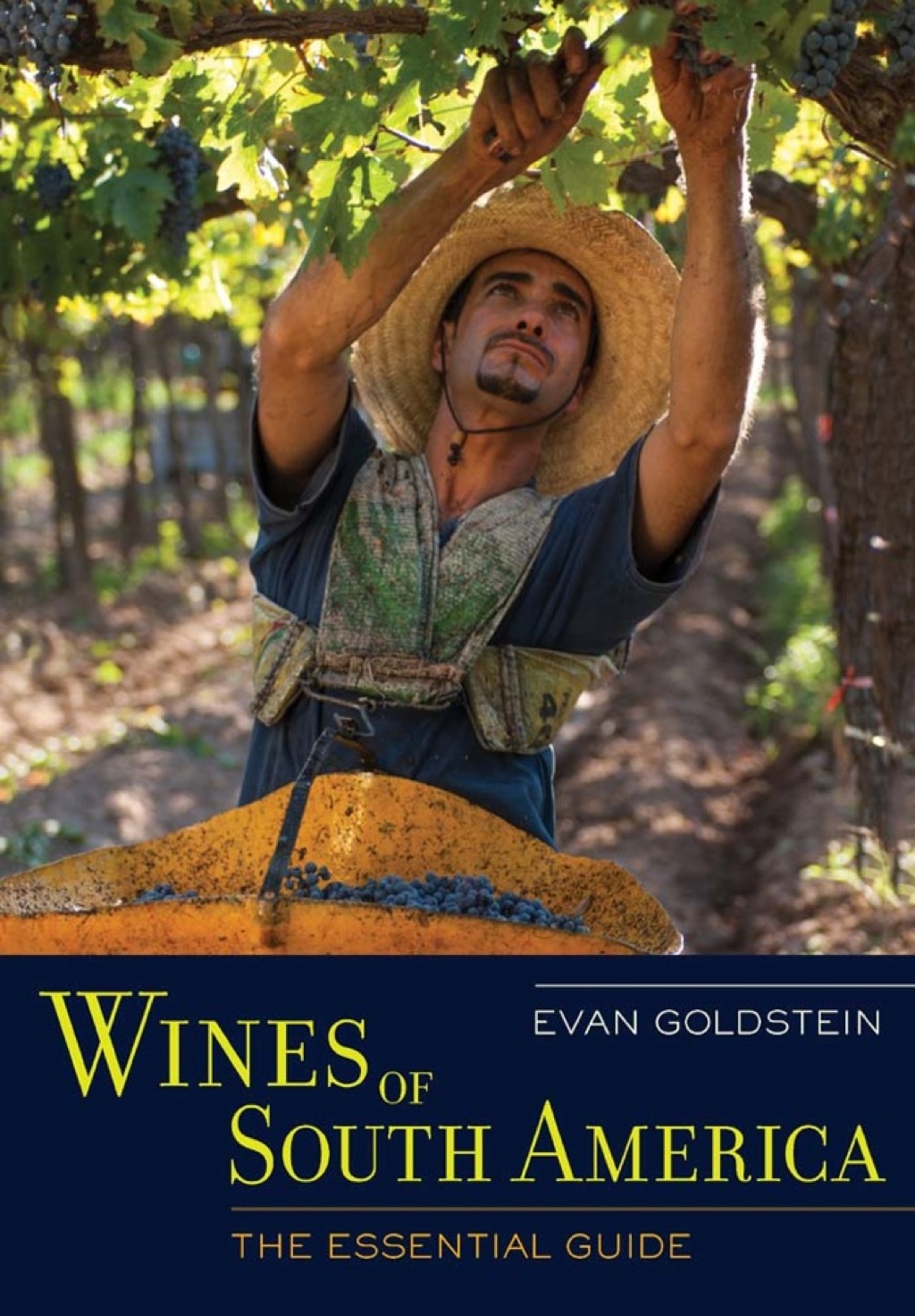 Page Fidelity Wines of South America; $44.34