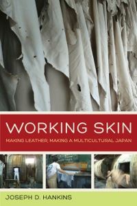 Cover image: Working Skin 1st edition 9780520283282