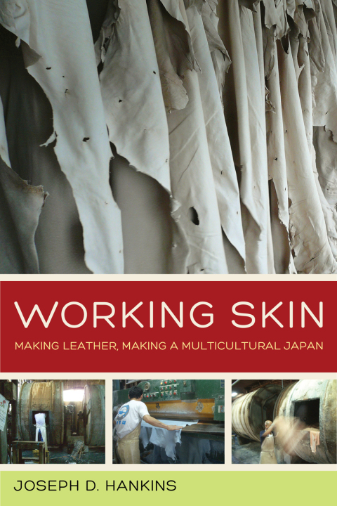 Cover image for book Working Skin