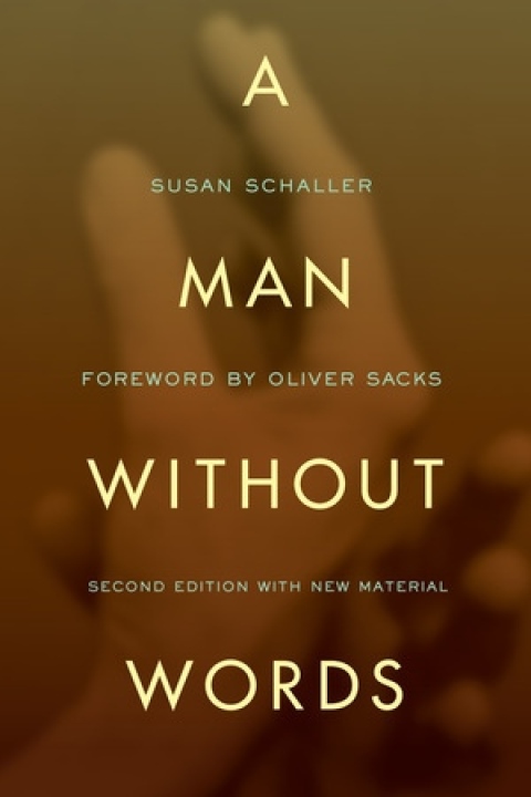 Cover image for book A Man Without Words