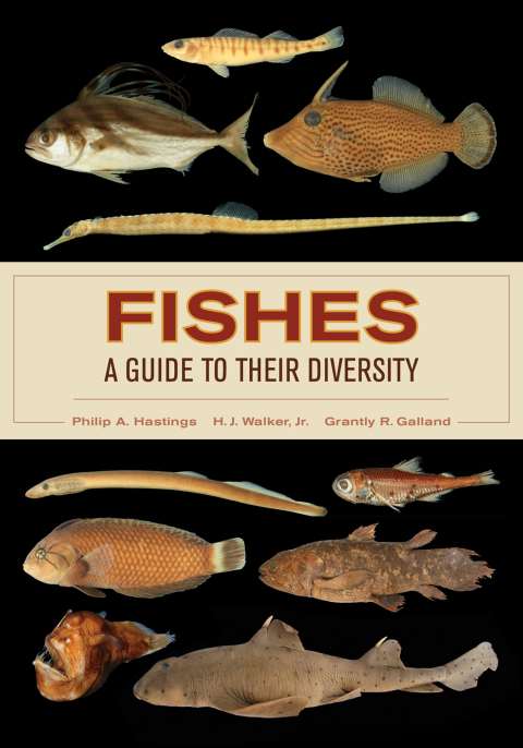 Cover image for book Fishes: A Guide to Their Diversity