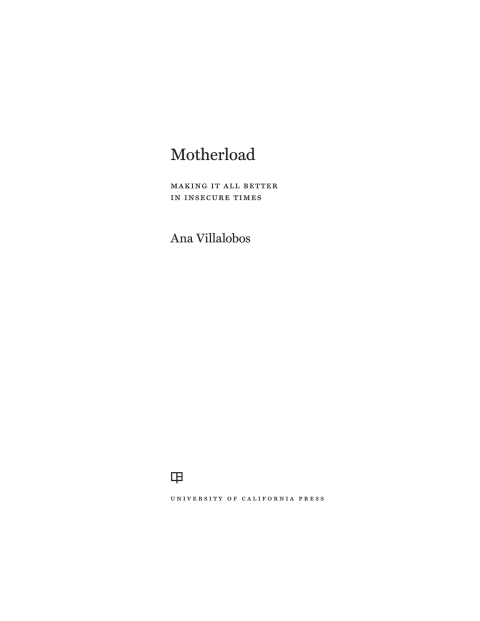Cover image for book Motherload