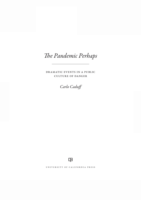 Cover image for book The Pandemic Perhaps