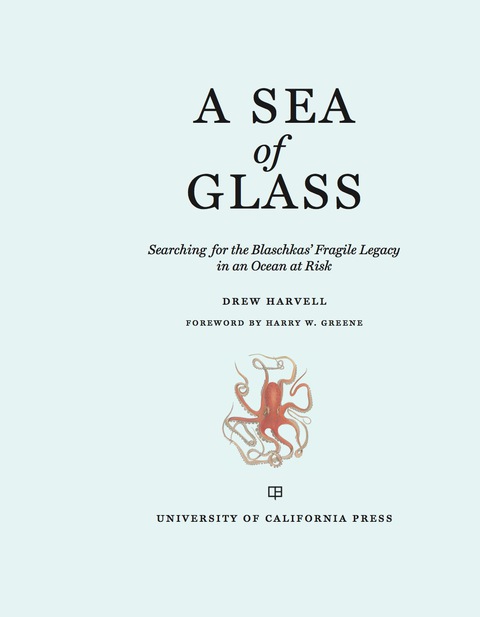 Cover image for book A Sea of Glass