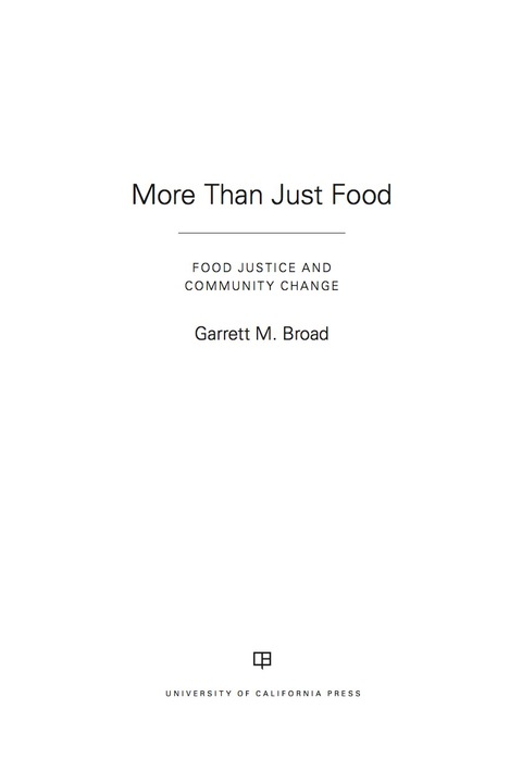 Cover image for book More Than Just Food