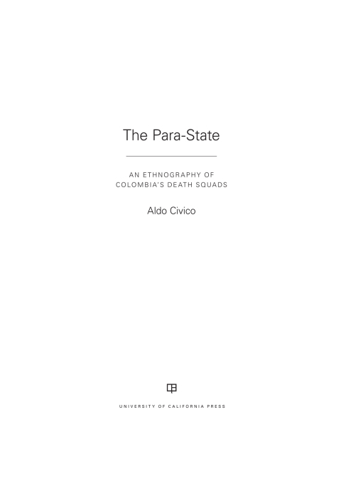 Cover image for book The Para-State