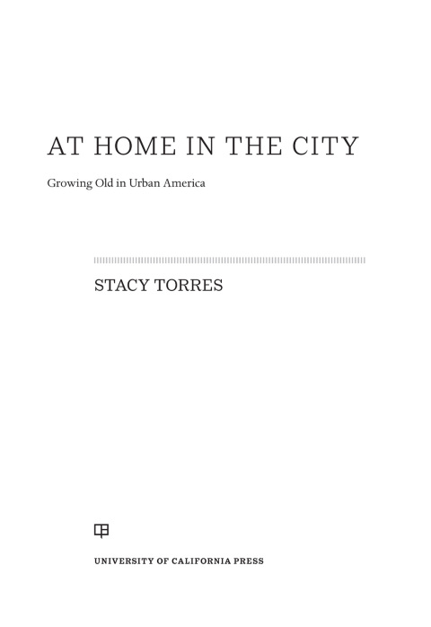 Cover image for book At Home in the City