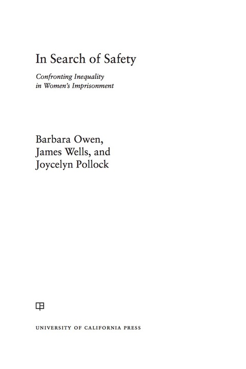 Cover image for book In Search of Safety