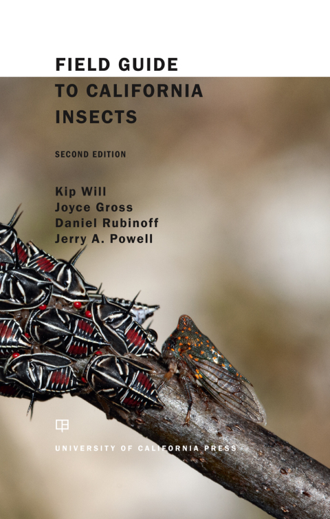 Cover image for book Field Guide to California Insects