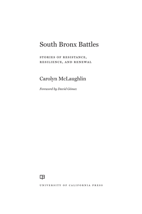 Cover image for book South Bronx Battles