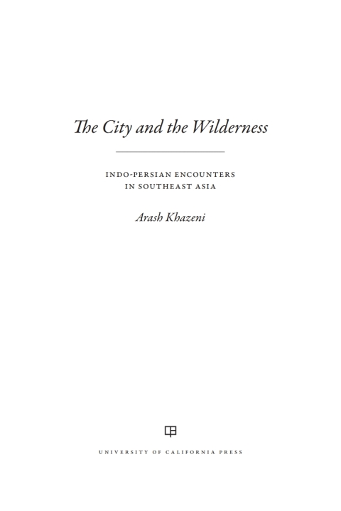 Cover image for book The City and the Wilderness