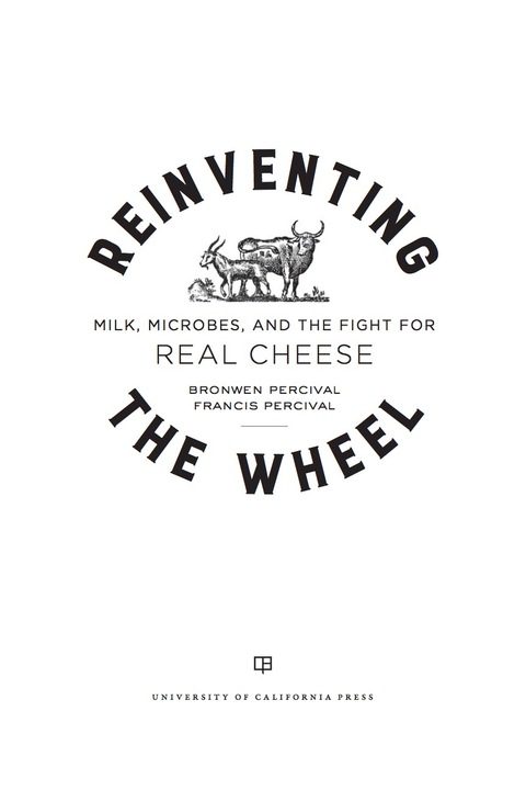 Cover image for book Reinventing the Wheel