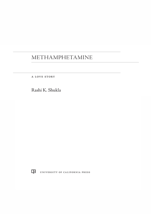 Cover image for book Methamphetamine