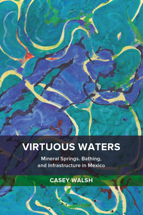 Cover image for book Virtuous Waters