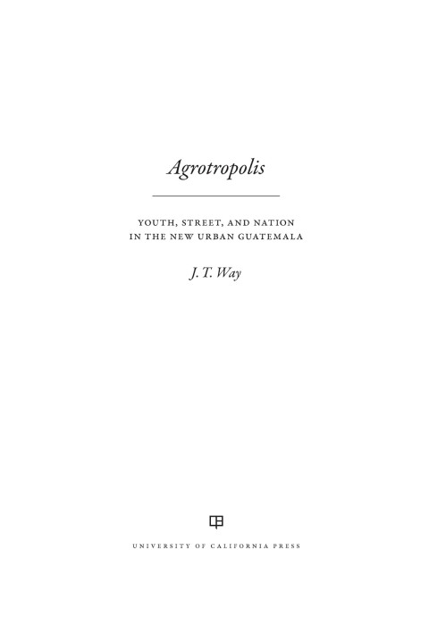 Cover image for book Agrotropolis