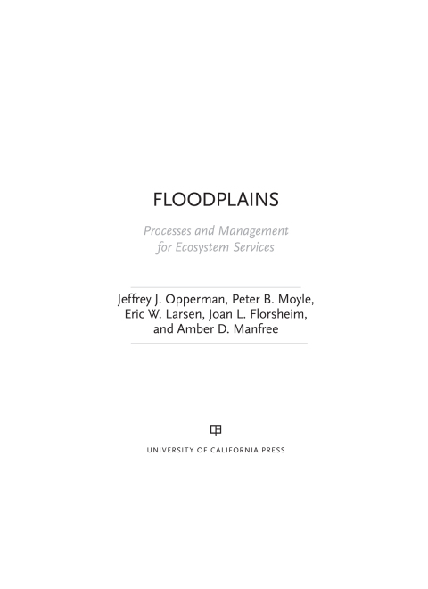 Cover image for book Floodplains