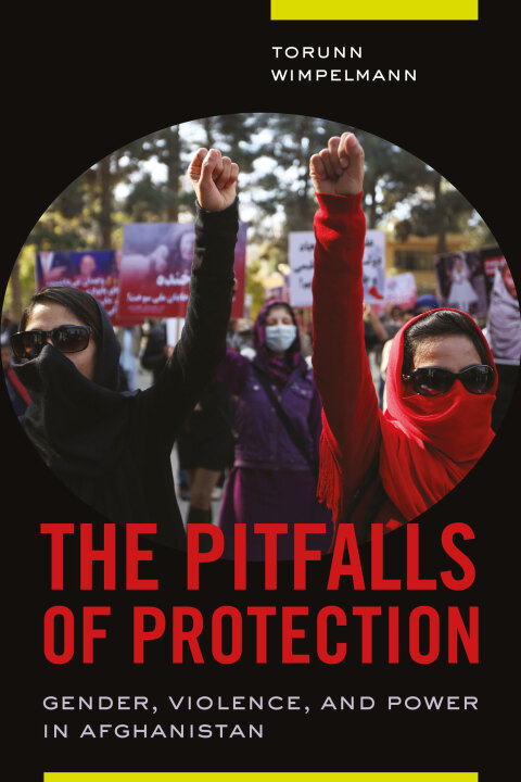 Cover image for book The Pitfalls of Protection