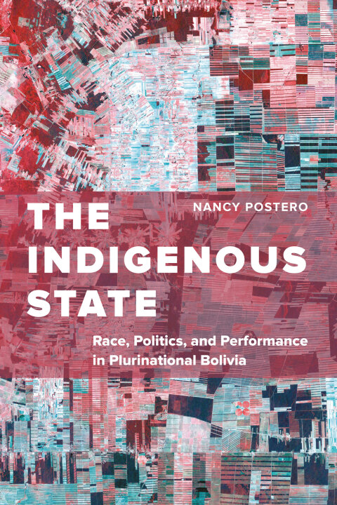 Cover image for book The Indigenous State