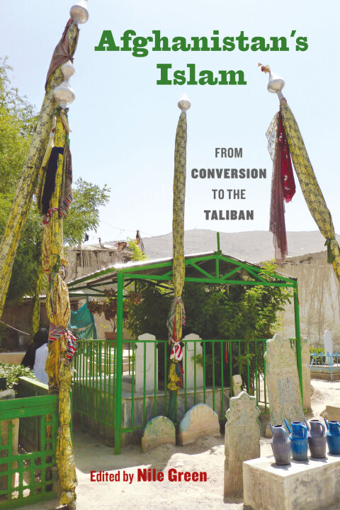 Cover image for book Afghanistan's Islam