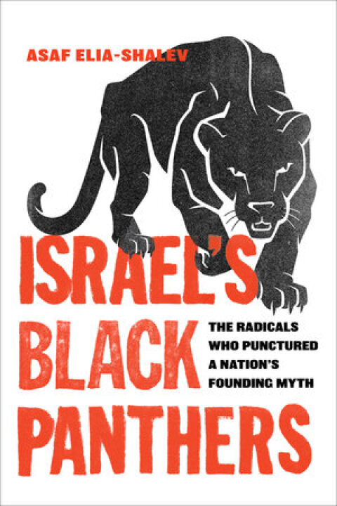 Cover image for book Israel's Black Panthers