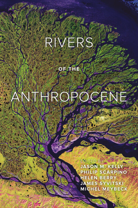 Cover image for book Rivers of the Anthropocene