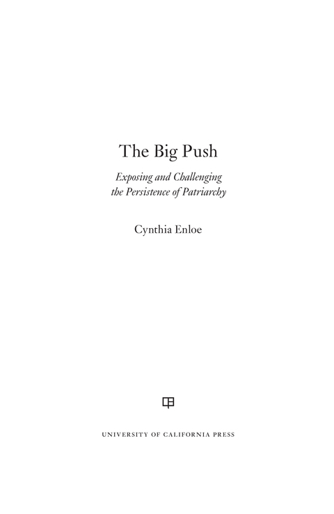 Cover image for book The Big Push