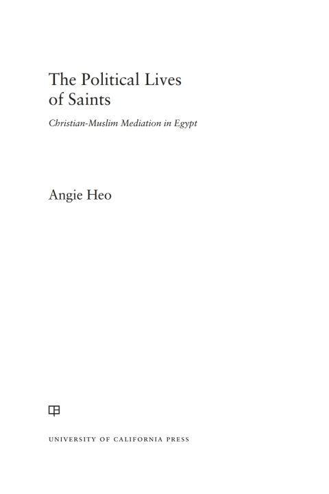 Cover image for book The Political Lives of Saints