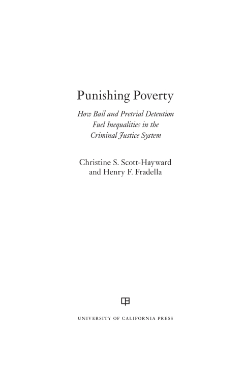 Cover image for book Punishing Poverty