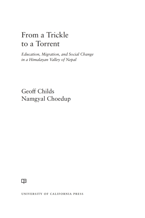 Cover image for book From a Trickle to a Torrent